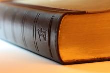 Précepte n°. 7  pour les locataires – Intenter une procédure en cas de problèmes incessants